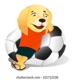 The dog watches football.He has a comfortable inflatable chair-ball
