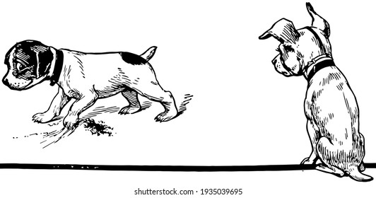 A Dog Watching Another Dog Burying A Bone, This Scene Shows A Dog Watching Another Dog Burying A Bone, Vintage Line Drawing Or Engraving Illustration