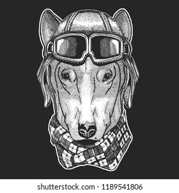 Dog wearing aviator hat. Print for children clothes, tee, t-shirt. Pilot wild animal