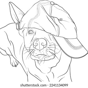 Dog wearing baseball cap colouring page, adult colouring.