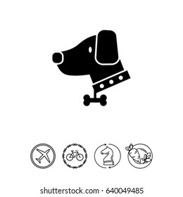 Dog wearing dog collar