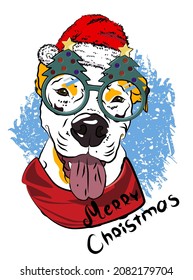 A dog wearing glasses with Christmas trees and a Santa Claus hat.