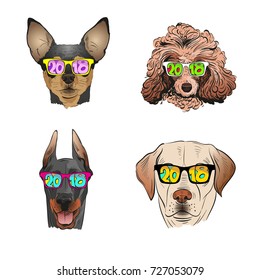  Dog wearing sunglasses, Year of the dog 2018. Fashion vector illustration. 