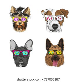  Dog wearing sunglasses, Year of the dog 2018. Fashion vector illustration. 