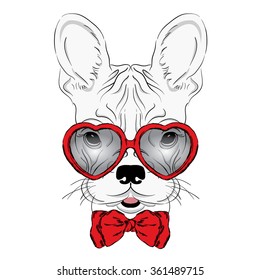 A dog wearing a tie and glasses. St. Valentine's Day. Card. Bulldog.