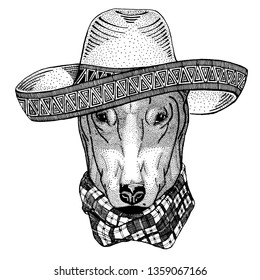 Dog wearing traditional mexican hat. Classic headdress, fiesta, party.