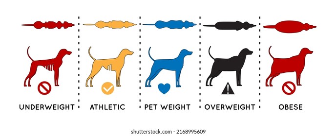 Dog Weight Illustration flat, editable stroke and color fill.