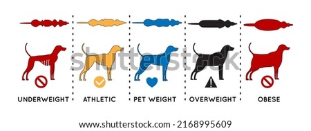 Dog Weight Illustration flat, editable stroke and color fill.