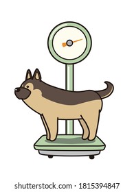 The Dog And The Weight Scale.