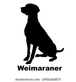 La silueta de Dog Weimaraner da vida a los perros del paquete en movimiento. Perros en diferentes poses.
El perro salta, el perro corre. El perro está sentado tumbado jugando
