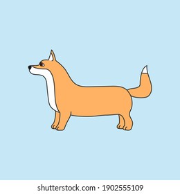 Dog welsh corgi vector illustration.