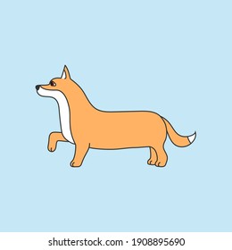 Dog welsh corgi vector illustration.	