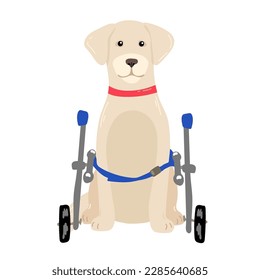 Dog in a wheelchair for the hind paws. Vector illustration in a flat style svg