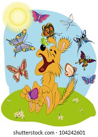 dog which is dared and butterflies fly around it