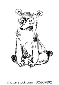 dog white background