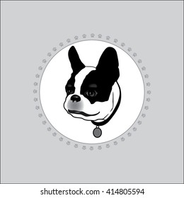 Dog is white with black spots. French Bulldog. The logo with the head of a dog. Frame made of dog tracks. Silhouette on a white background. 