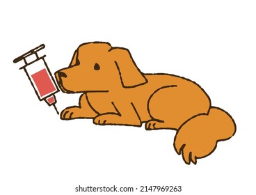 A dog whose blood is being collected Comical handwritten person vector, color on line drawing