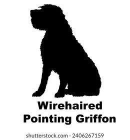 Dog Wirehaired Pointing Griffon silhouette Breeds Bundle Dogs on the move. Dogs in different poses.
The dog jumps, the dog runs. The dog is sitting lying down playing
