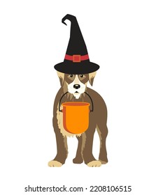 Dog in witch hat and Halloween candy bucket isolated vector icon  Cute doggy pet cartoon design element illustration  Happy Halloween scary night party celebration  Trick treat fun background