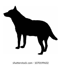 dog wolf black silhouette isolate on white background vector illustration.