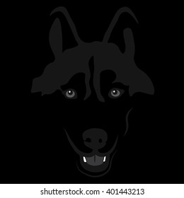 dog wolf in shadow. Siberian husky Portrait