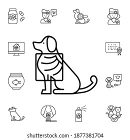 Dog, x-ray flat vector icon in petshop pack