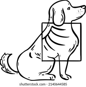 dog with x-ray hand draw vector illustration art