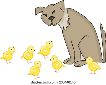 Dog and yellow chicks