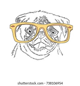 Dog with yellow glasses. Cute pug portrait. Vector sketch illustration.