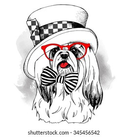 Dog York in glasses wearing a steampunk top hat with bow. Vector illustration.