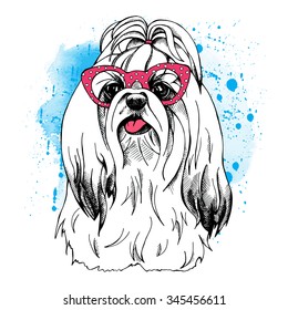 Dog York in a pink glasses on blue background. Vector illustration.