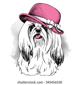 Dog York wearing a pink Elegant women's hat with bow. Vector illustration.