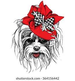 Dog Yorkie portrait in a red Elegant women's hat with bow and ribbon. Vector illustration.