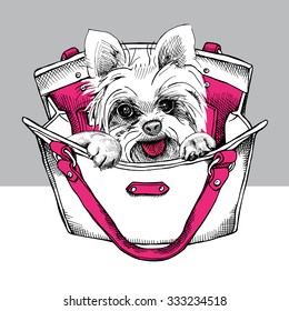 Hund Yorkshire Terrier in einer Tasche.  Vektorgrafik.
