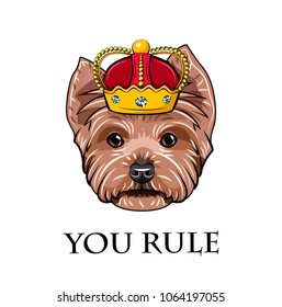 Dog Yorkshire terrier. Crown. You rule inscription. Dog king. Dog head face. Vector ullustration