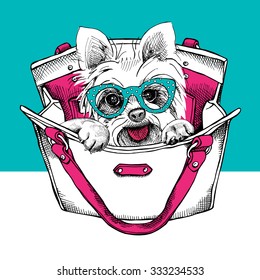 Dog Yorkshire terrier with glasses in a bag. Vector illustration.