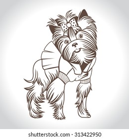Dog, Yorkshire Terrier, linear vector logo.