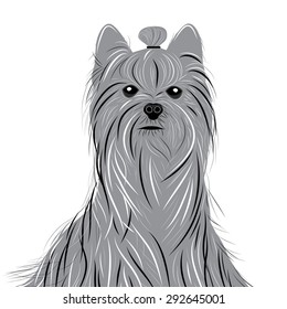 Dog yorkshire terrier vector portrait. Cute animal head.