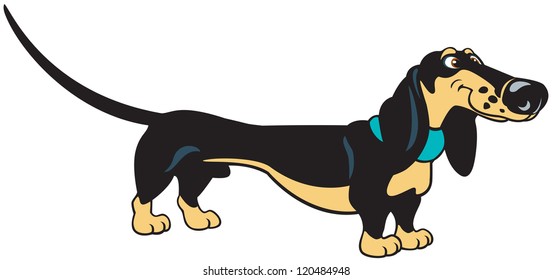 dog,cartoon dachshund,vector picture isolated on white background