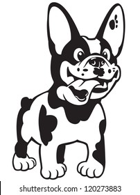 dog,cartoon french bulldog,black and white vector picture isolated on white background