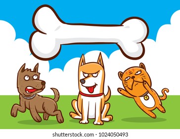 dog&cat fight for big bone