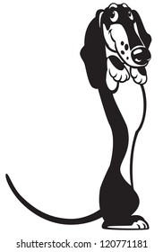 dog,dachshund breed,black white cartoon picture,vector image isolated on white background
