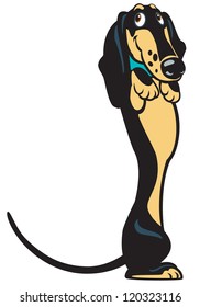 dog,dachshund breed,cartoon illustration,vector picture isolated on white background