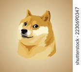 Doge meme dog vector illustration