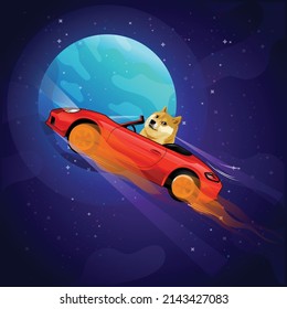 Doge in Space Cartoon Vector Design