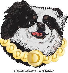 Dogecoine and cryptocurrency with Pomeranian dog. Hand drawn dog and Dog coin art.