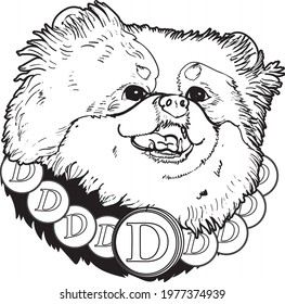 Dogecoine and cryptocurrency with Pomeranian dog. Hand drawn dog and coin art.