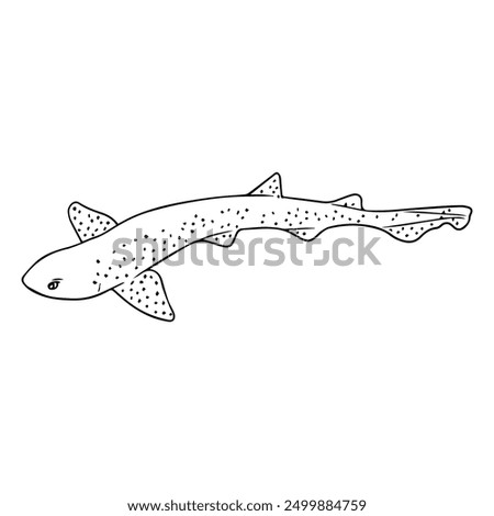 dogfish outline vector illustration,isolated on white background,top view