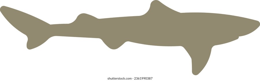 dogfish dogfish shark shark ocean sea