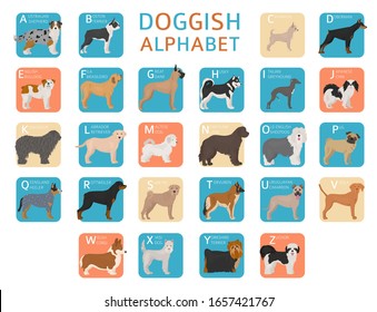Doggish alphabet for dog lovers. Letters of the alphabet with the names of the dog breeds. Vector illustration